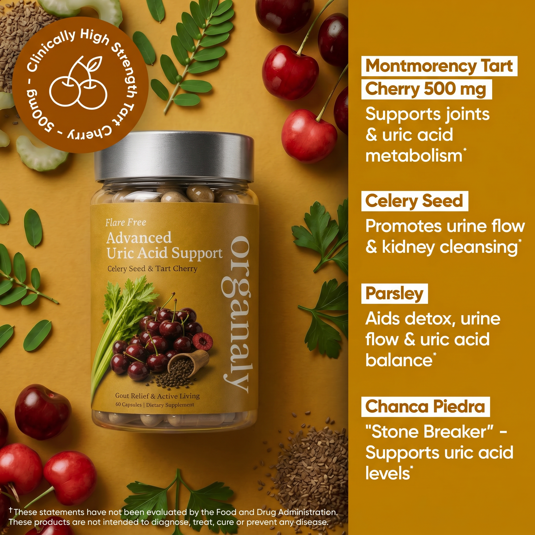 Flare Free - Uric Acid Cleanse