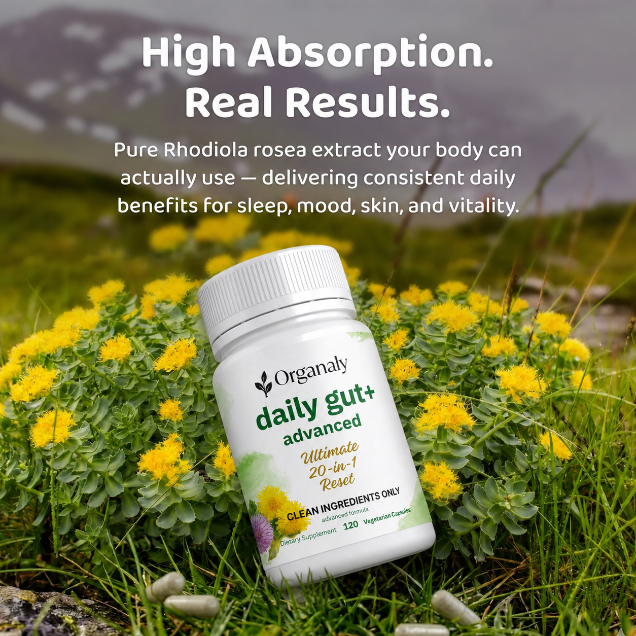 Daily Gut Advanced - Natural Balance & Support