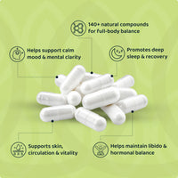Daily Gut Advanced - Natural Balance & Support