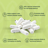 Rhodiola Rosea – Natural Cortisol Balance Reset