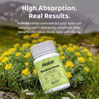 Rhodiola Rosea – Natural Cortisol Balance Reset