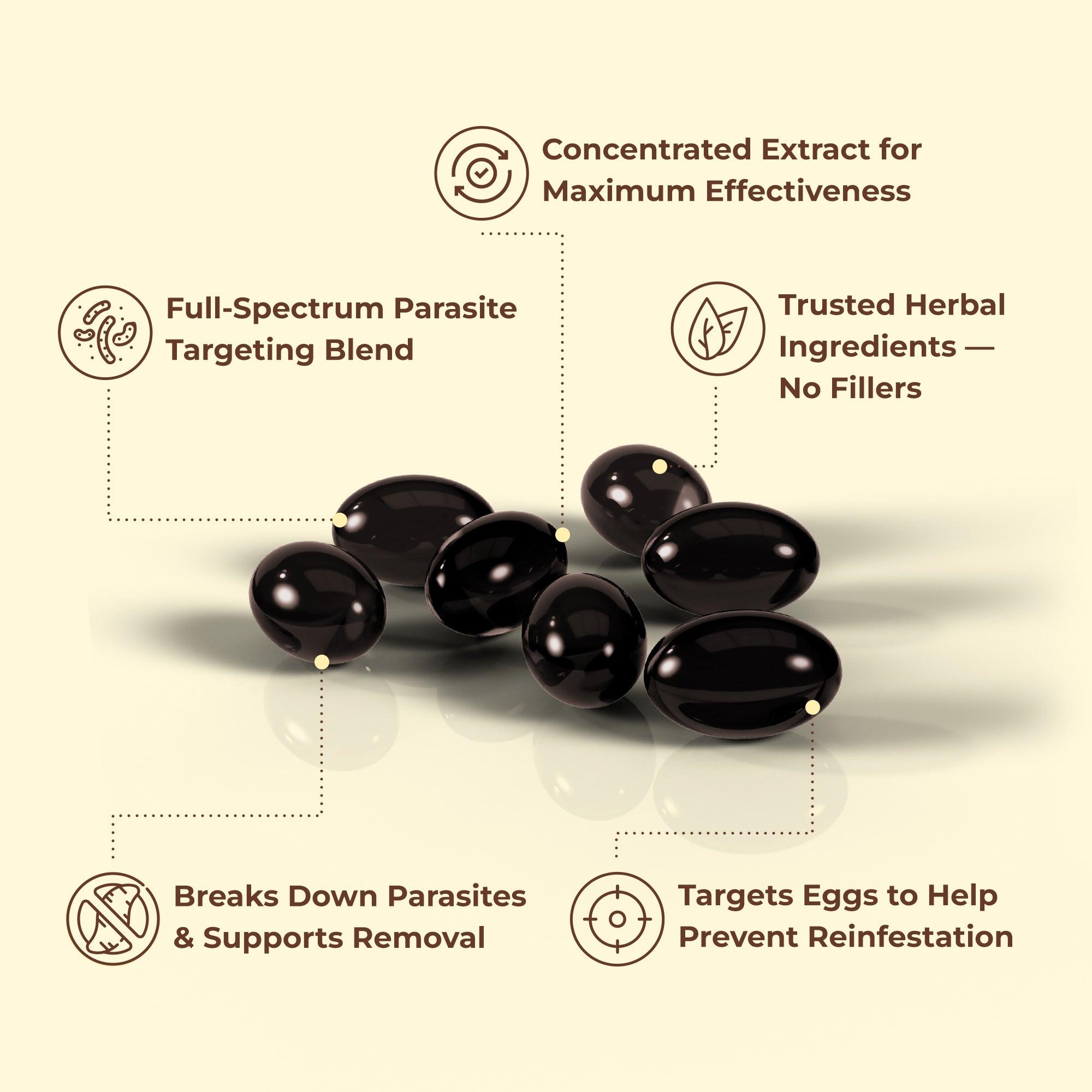 Flush Out Hidden Parasites & Larva with Wormwood Black Walnut Cloves