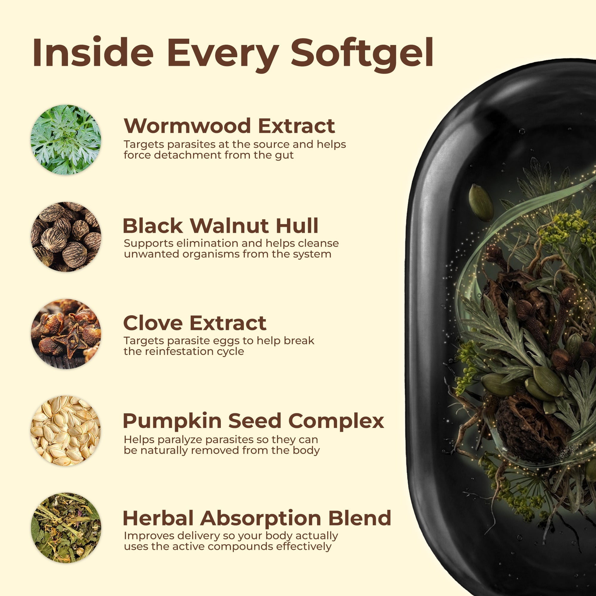 Flush Out Hidden Parasites & Larva with Wormwood Black Walnut Cloves